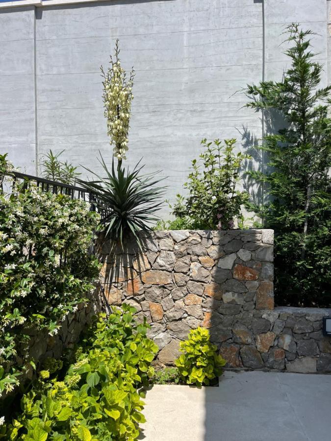Villa Pine Bar Exterior photo